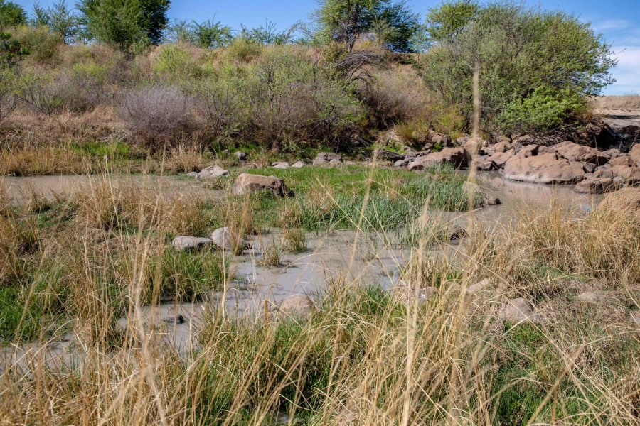 Commercial Property for Sale in Koppies Free State